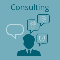 Consulting